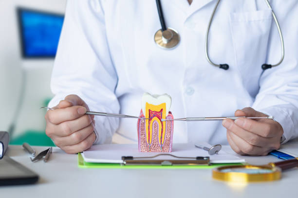 Best Emergency Denture Repair in Norwood, OK